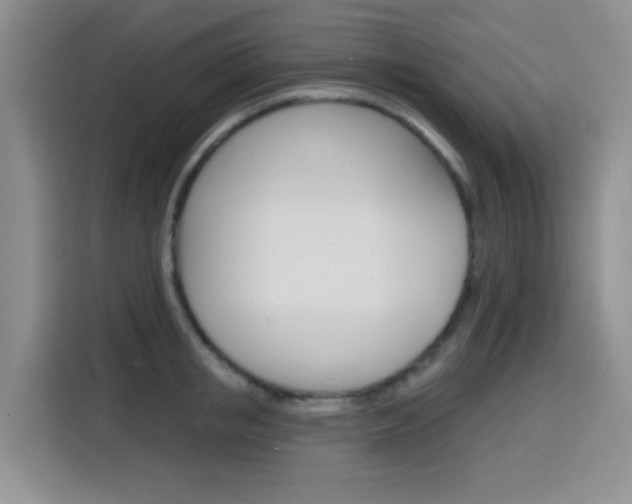 X0000116150853200911230950