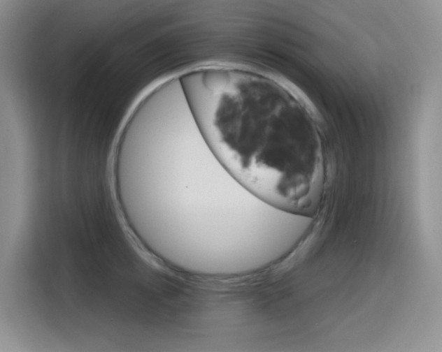 X0000116150854200911230950