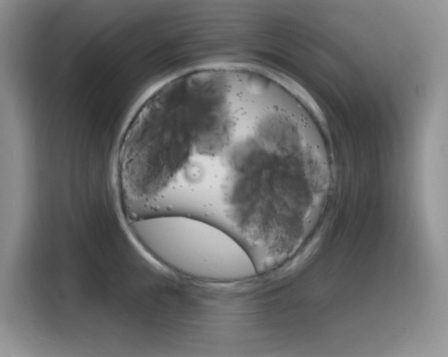 X0000116150855200911230950