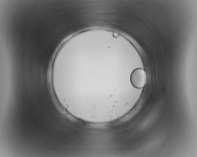 X0000116150856200911230950