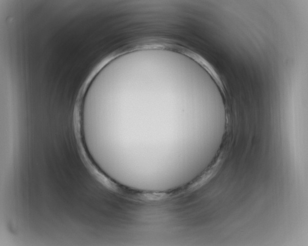 X0000116150859200911230950