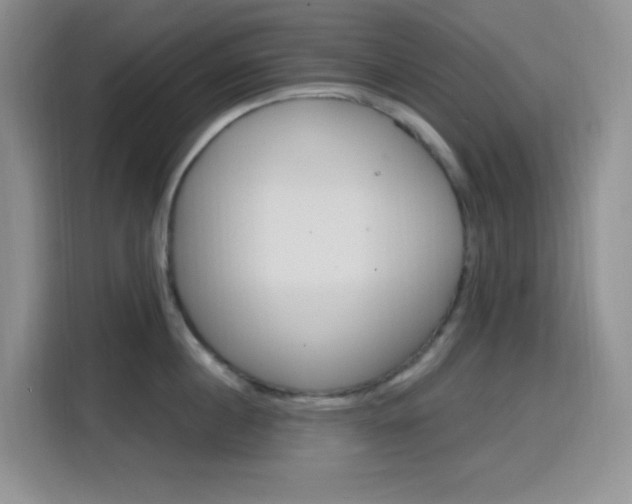 X0000116150860200911230950