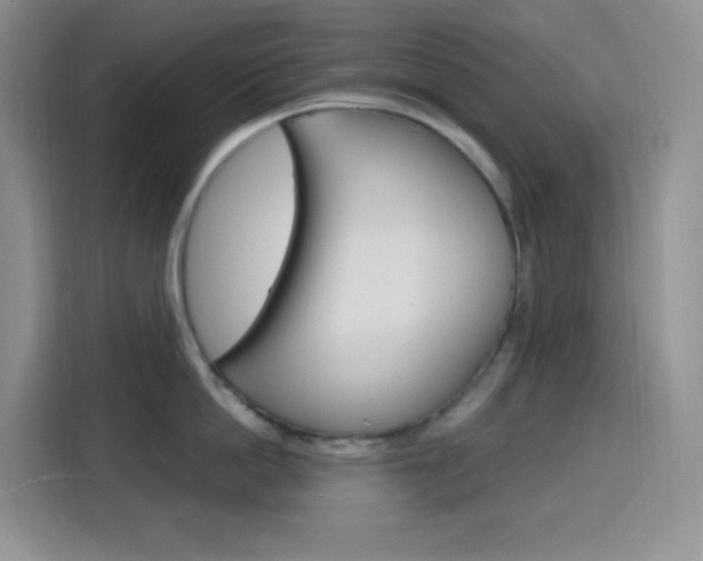 X0000116150862200911230950