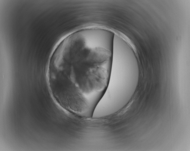 X0000116150863200911230950