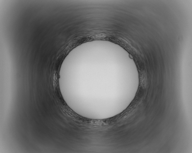 X0000116150866200911230950