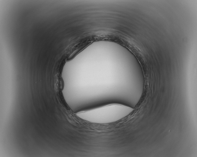 X0000116150868200911230949
