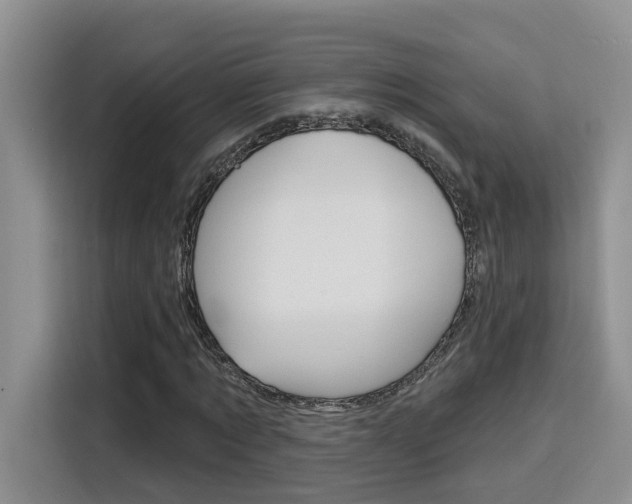 X0000116150869200911230949