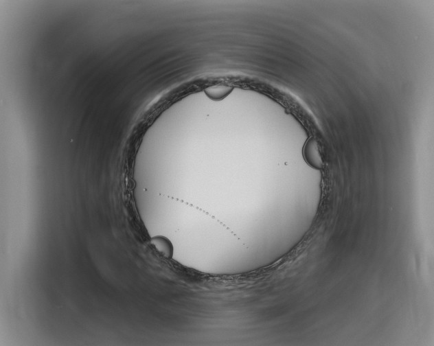 X0000116150871200911230949