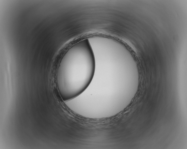 X0000116150872200911230949