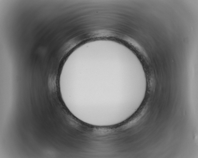 X0000116150873200911230949
