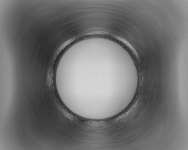 X0000116150874200911230949