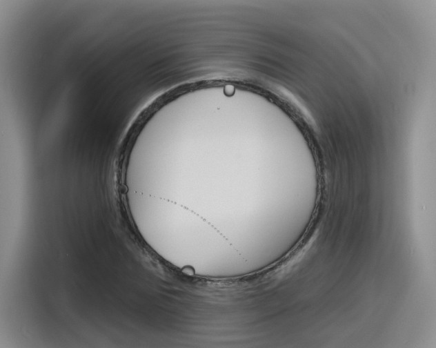 X0000116150875200911230949