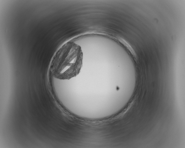 X0000116150876200911230949