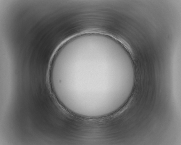 X0000116150880200911230949