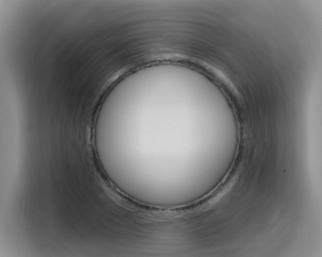 X0000116150881200911230949