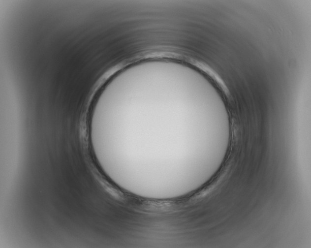 X0000116150882200911230949