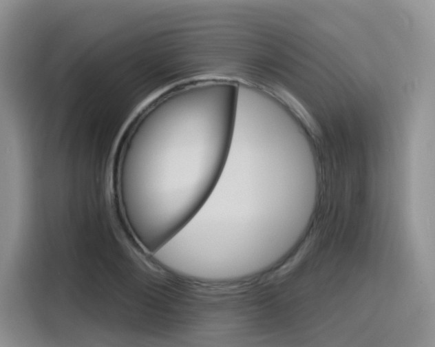 X0000116150884200911230949