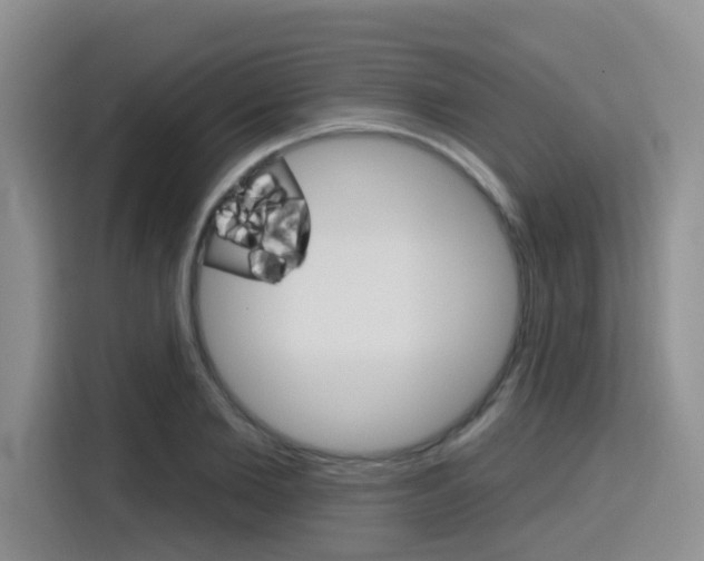 X0000116150885200911230949