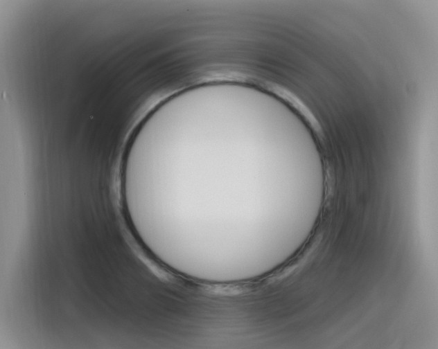 X0000116150890200911230949