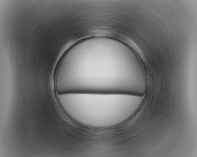X0000116150891200911230949
