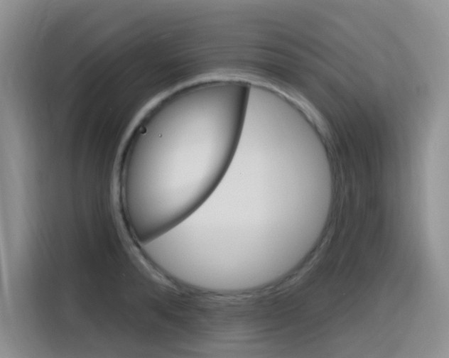 X0000116150896200911230949