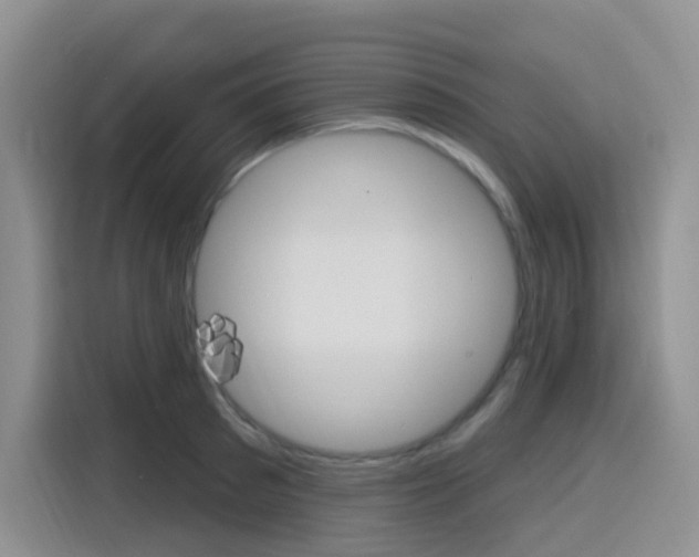 X0000116150897200911230949