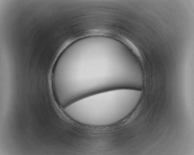 X0000116150899200911230949