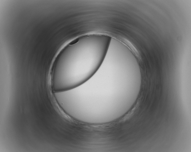 X0000116150900200911230949