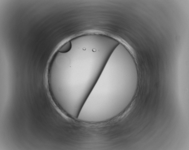 X0000116150902200911230949