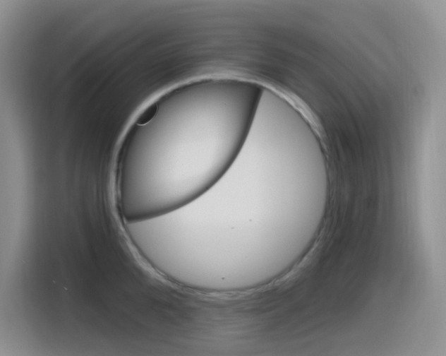 X0000116150904200911230949