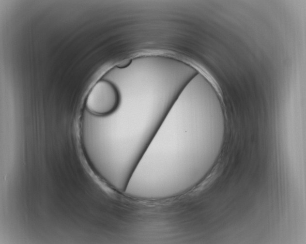 X0000116150906200911230949