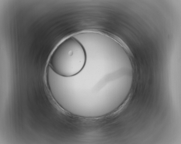 X0000116150908200911230949