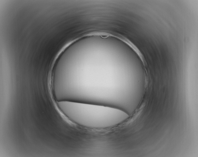 X0000116150909200911230949