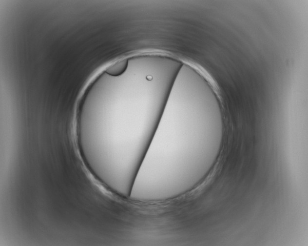 X0000116150910200911230949