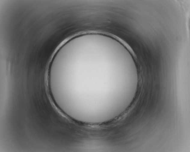 X0000116150911200911230949