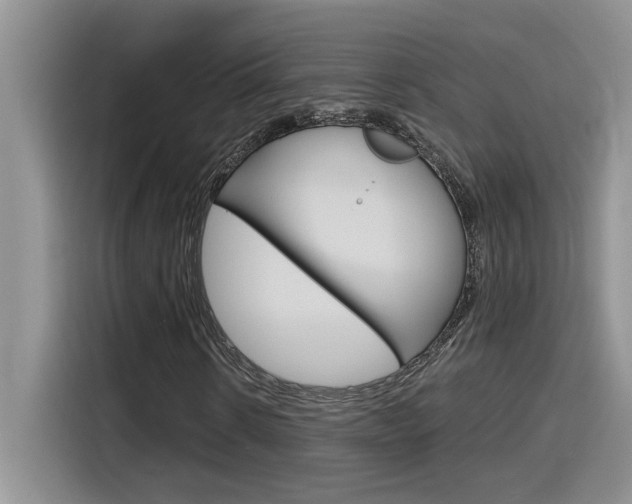 X0000116150914200911230948