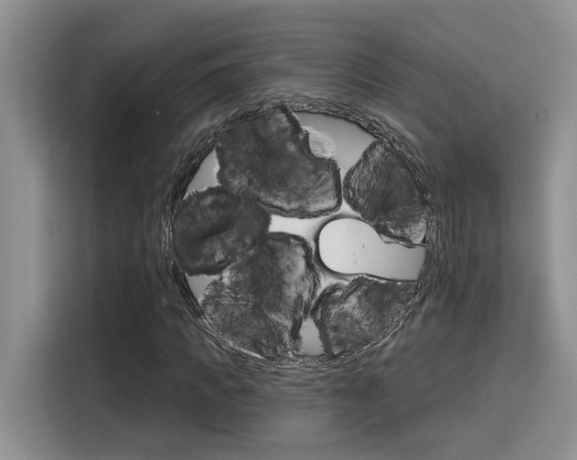 X0000116150917200911230948