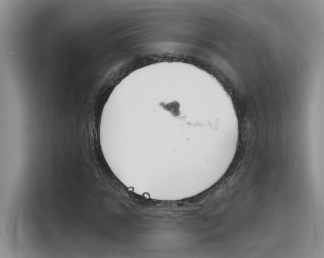 X0000116150918200911230948