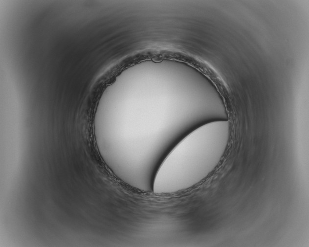X0000116150919200911230948