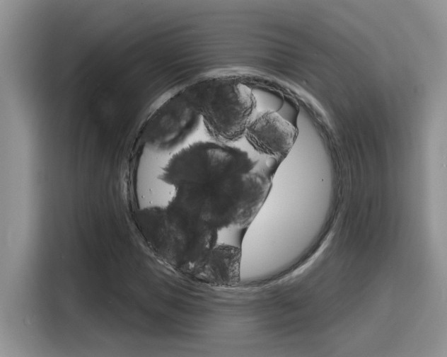 X0000116150921200911230948