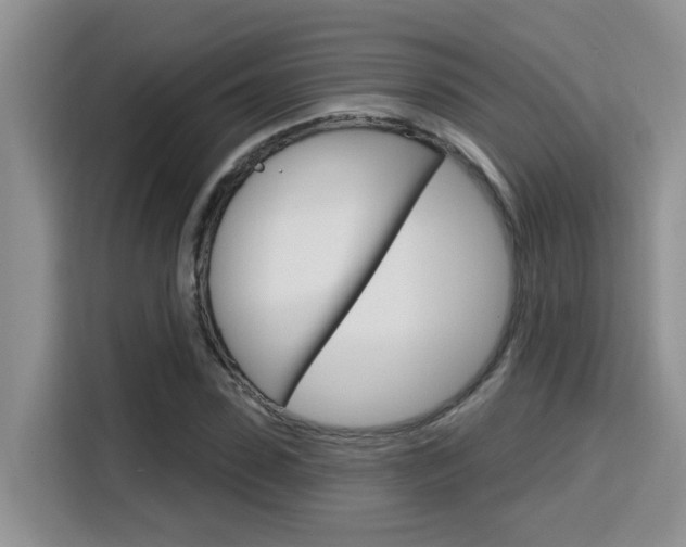 X0000116150923200911230948