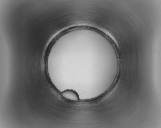 X0000116150927200911230948