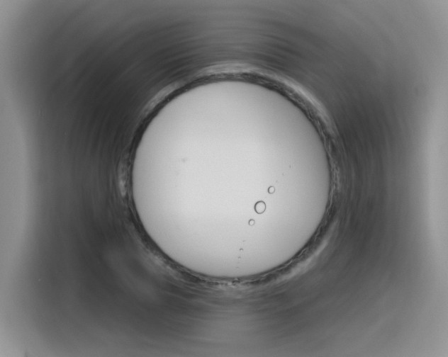X0000116150929200911230948