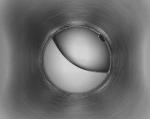 X0000116150930200911230949