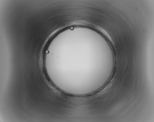 X0000116150931200911230949
