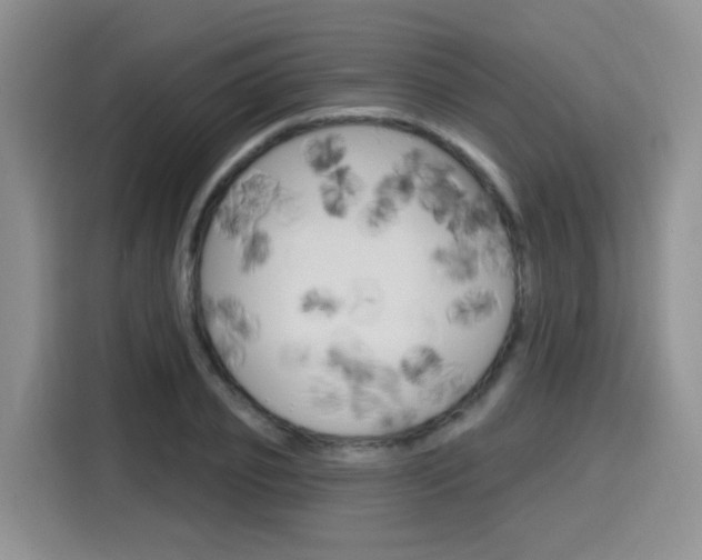 X0000116150933200911230949