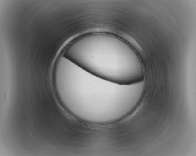 X0000116150934200911230949