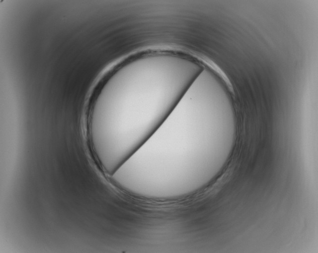 X0000116150935200911230949