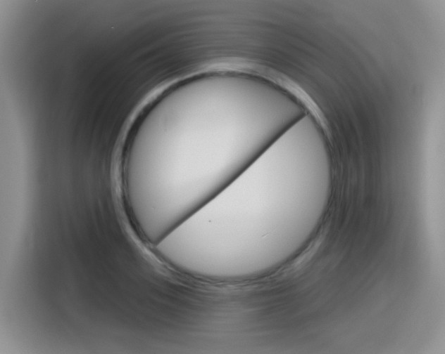 X0000116150939200911230949