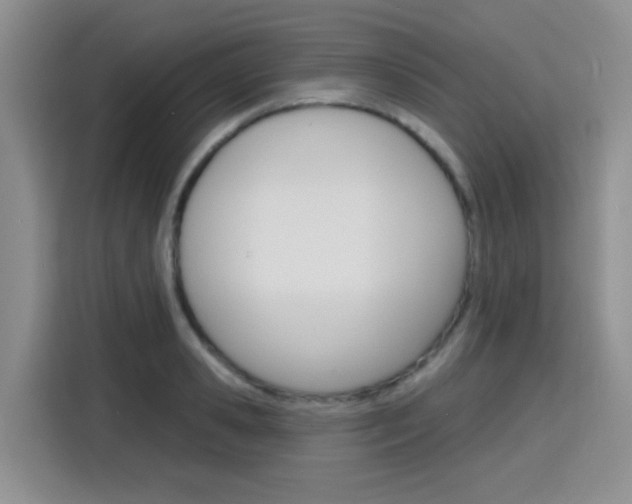X0000116150941200911230949